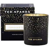 Ted Sparks Duftkerze Demi Cinnamon & Spice