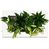 Flowerbox Pflanzenbild Flowerwall M