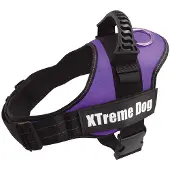 Arquivet Xtreme Harness Lila XS