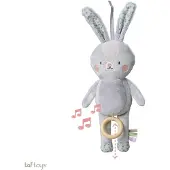 Taf Toys Rylee Musical Aktivitätsspielzeug Kaninchen, Babyspielzeug