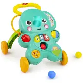 Bright Starts - 2-in-1 Ball Play Walker, Stroll 'n Roll - (BS-12829)