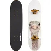 Firefly Skateboard SKB 505