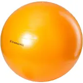 ENERGETICS Gymnastik Ball / Physioball
