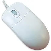 Seal Shield Silver Storm Mouse