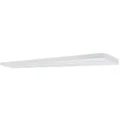 Ledvance LN INDV D 1500 25W