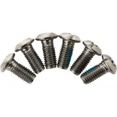 TRP Titanschraube - t25 (x6)