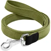 Collar Pet Führleine