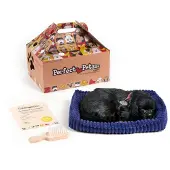 Perfect petzzz Schwarzer Labrador 96323