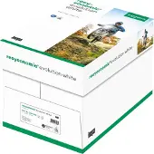 OVOL Recyclingpapier Recyconomic Evolution White, DIN A4, 80 g/m², naturweiß, 2500 Blatt