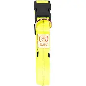 Duvo+ Halsband Nylon Flash Leucht USB