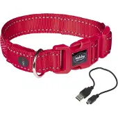 Nobby Halsband FLASH MESH