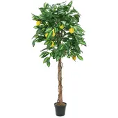 XL Palms Zitronenbaum, Kunstpflanze, 180cm
