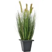 XL Palms Moorgras im Dekotopf