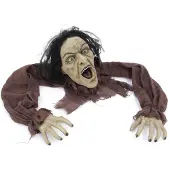 Europalms Zombie