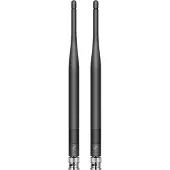Sennheiser Half Wave Dipole (R) - Antenne