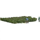 Busch H0 Waldheidelbeeren pflücken Fertigmodell