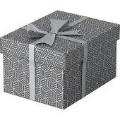 Esselte 628281, Aufbewahrungsbox, Grau, Rechteckig, Karton, Muster, Indoor