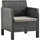 vidaXL Gartenstuhl mit Kissen Anthrazit 63x65x76 cm PP Rattan