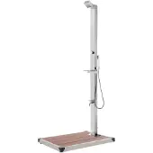 vidaXL Gartendusche mit Brauner Bodenplatte 225 cm Edelstahl