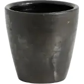 Nordal Wacholderbecher schwarz 6er-Set
