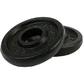 Tunturi Gusseisen 0.5 kg Gewichtscheibenpaar 30 mm