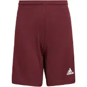 Adidas Hosen Squadra 21, GN8081, Größe: 135