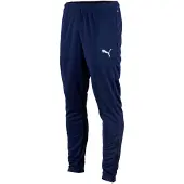 Puma Herren Sporthose teamRISE Poly Training Pan