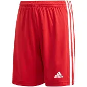 Adidas Squadra 21 Kurze Hose