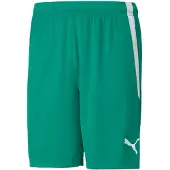 Puma Shorts Team Liga