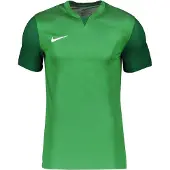 Nike DR0933-302 M NK DF Trophy V JSY SS T-Shirt Herren Pine Green/Gorge Green/Go
