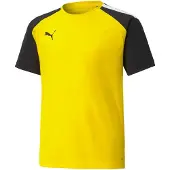 Puma Kindertrikot Team Pacer