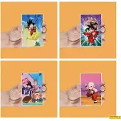 SD Toys Dragon Ball: Lenticular Magnet Set