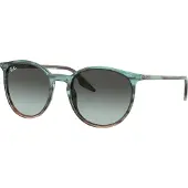 Ray-Ban RB2204 1394GK 51 – Sonnenbrille