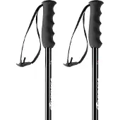 Nordica Dobermann Poles Silber 125 cm