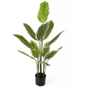 PT Living Kunstplant Calathea Large - Groen - 70x70x116cm - Modern