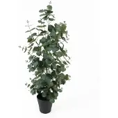 Atmosphera Eucalyptus Leaf Large