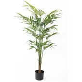 PT Living Palm