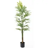 PT Living Kunstplant Gold Palm Tree Large - Groen - 65x65x160cm - Modern