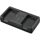 Olympus BCX-1, Lithium-Ion (Li-Ion)