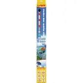 Sera Leuchtmittel sera LED marine blue sunrise 13 W 520 mm