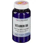 Hecht-Pharma Gmbh Vitamin B6 100 mg GPH Kapseln 120 St