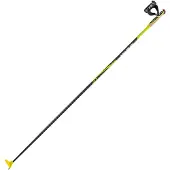 LEKI Cc 450 Stöcke
