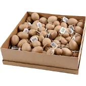 Creativ Company Eier Papier-mache Bastelset 140 Stück Dekoration