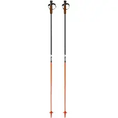 Fischer Gt 13 Comp Mag Stöcke