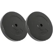 vidaXL Hantelscheiben 2 Stk. 30 kg Zement