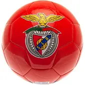 Victoria Sport Benfica Fussball Club Fan Ball