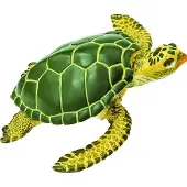 Safari Ltd Green Sea Turtle Wildlife Figur Grün From 3 Years Grün From 3 Years