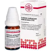 DHU Calcium Carbonicum Hahnemanni D 12 Globuli 10 g