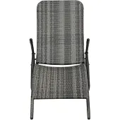 The Living Store Klappbare Sonnenliege Poly Rattan Grau