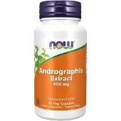Now , Andrographis-Extrakt, 400mg 90 St Zahnpasta